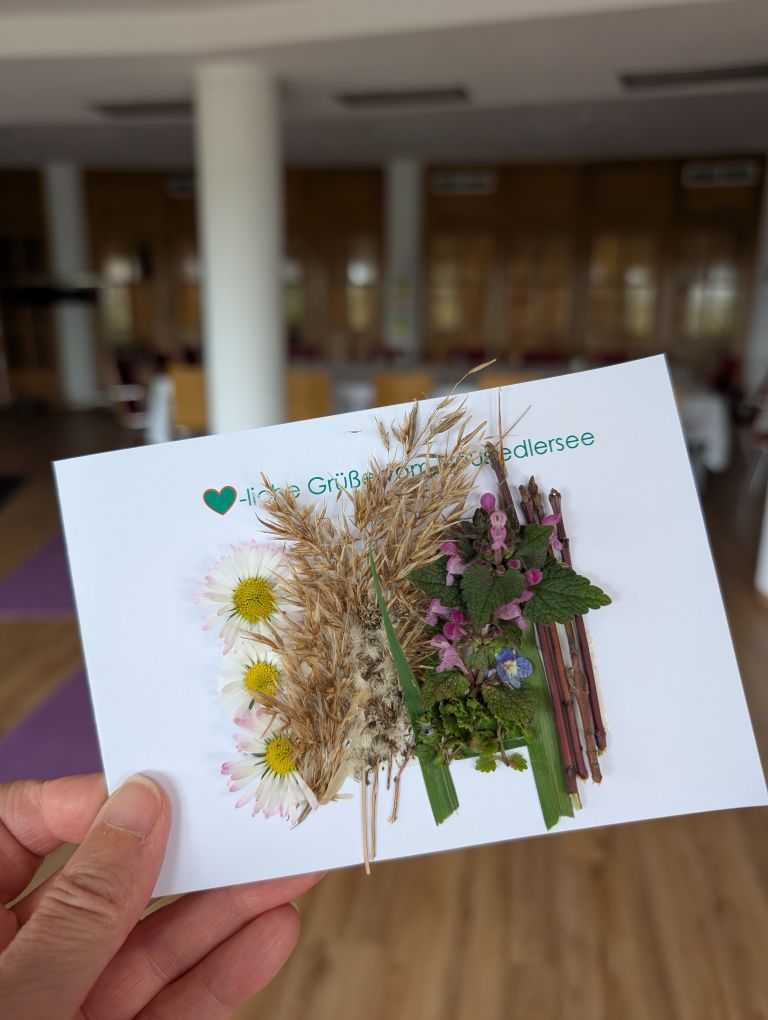Selbstgemachte Karte, beklebt mit Blüten und Schilf