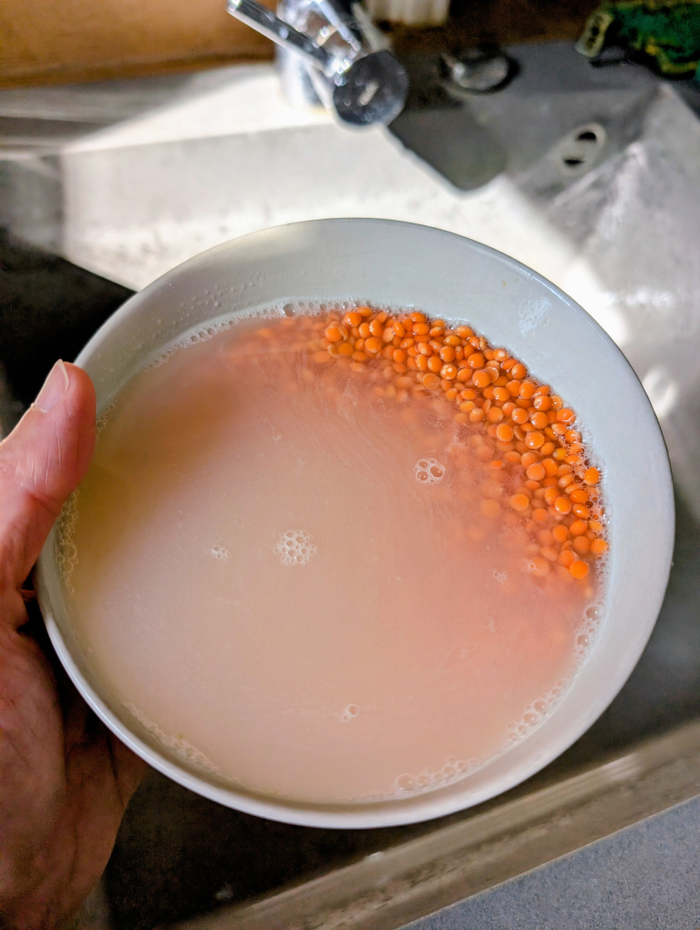 Rote Linsen in Schüssel mit Wasser