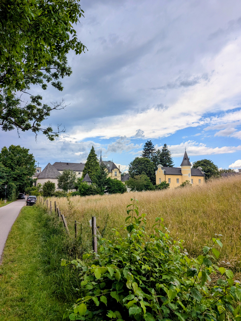 Ein Weg, der zum Johannes Schlößl führt, davor Wiese und Bäume