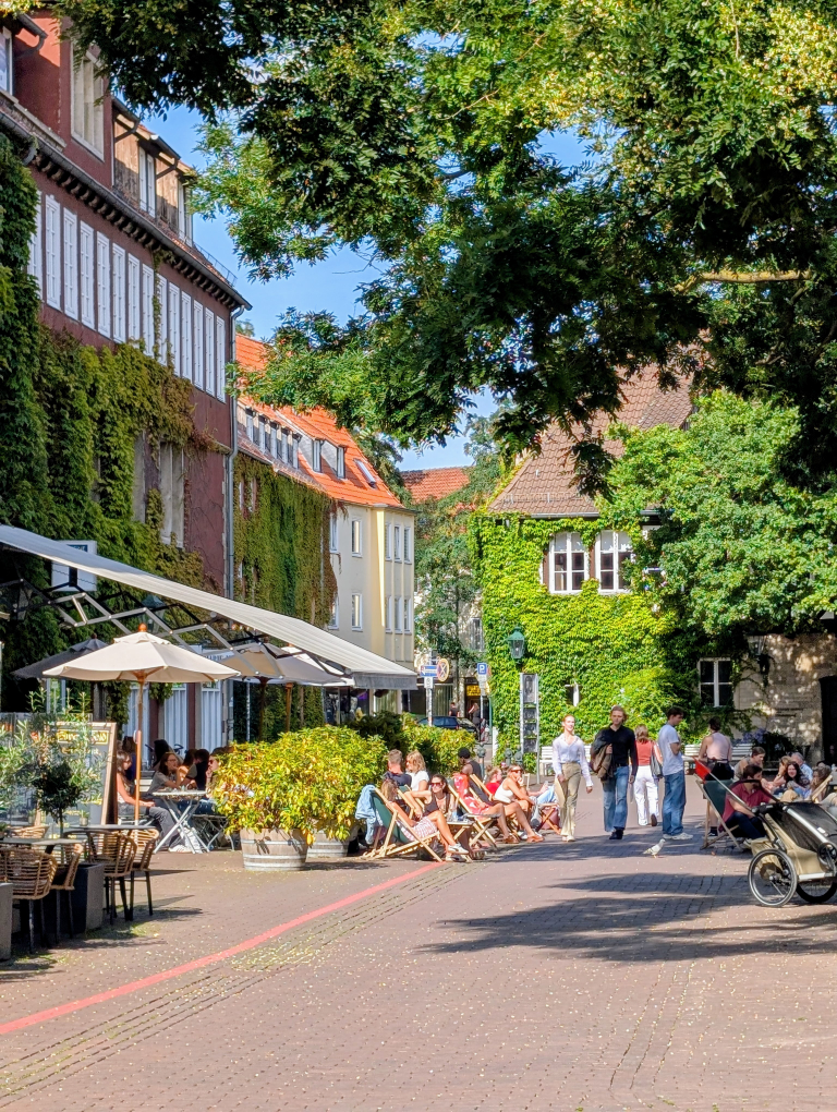 Blick auf einen netten Platz mit BÀumen und FachwerkhÀusern