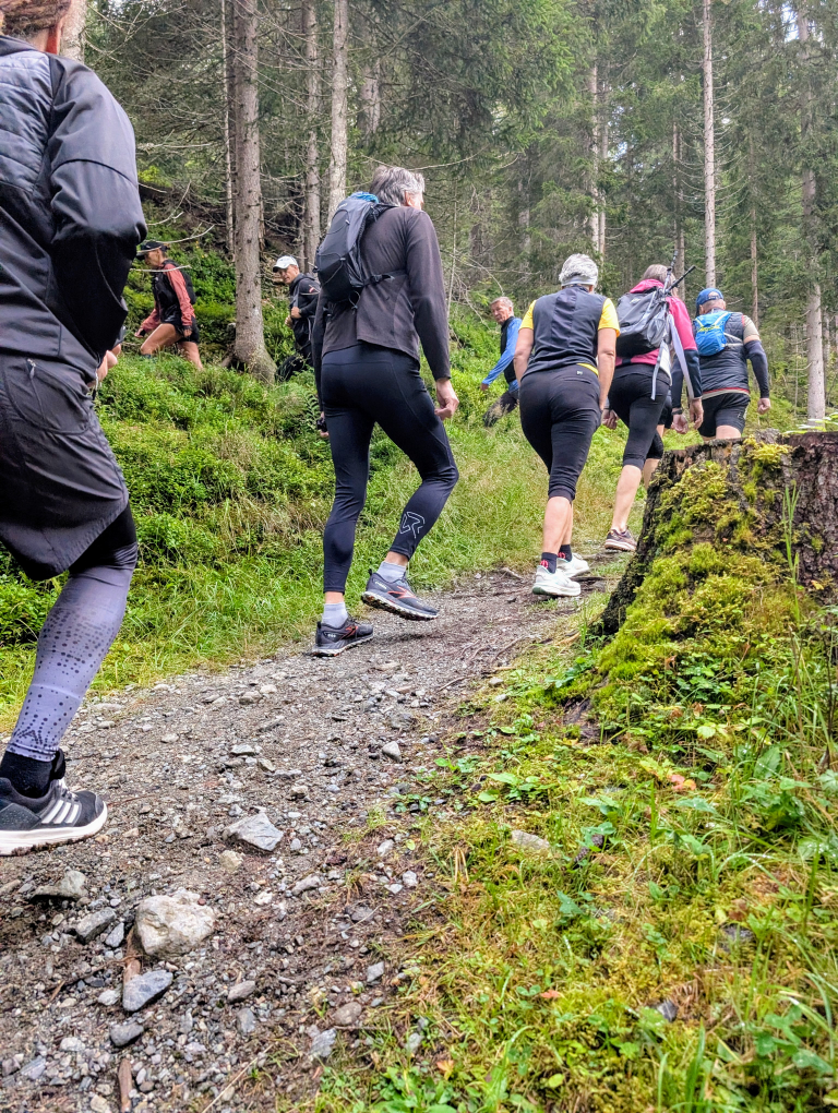 Gruppe geht im Gänsemarsch einen schmalen Waldpfad steil bergauf