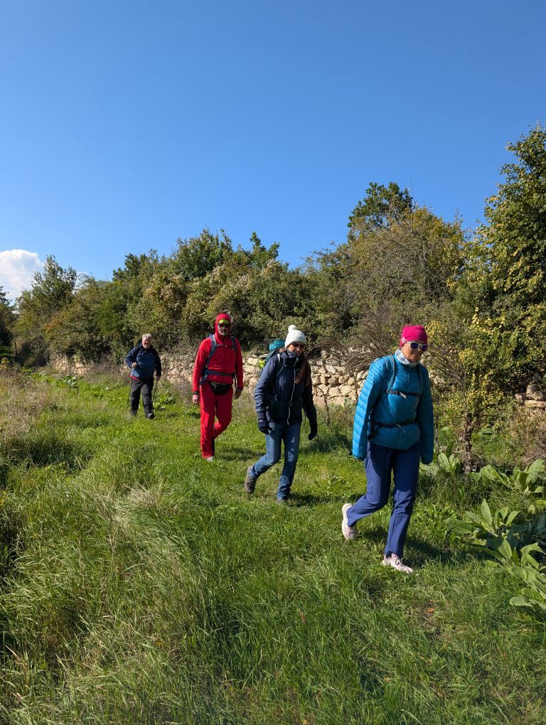 Fastengruppe im Gänsemarsch auf einer Wiese