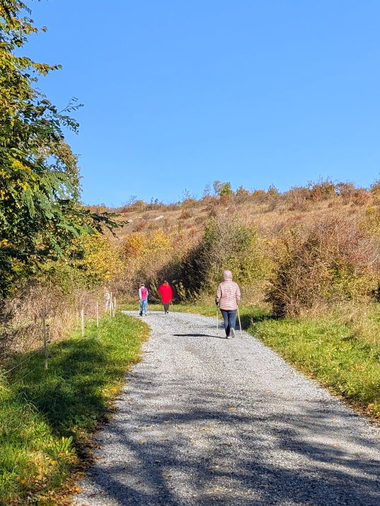 Walking Gruppe von hinten