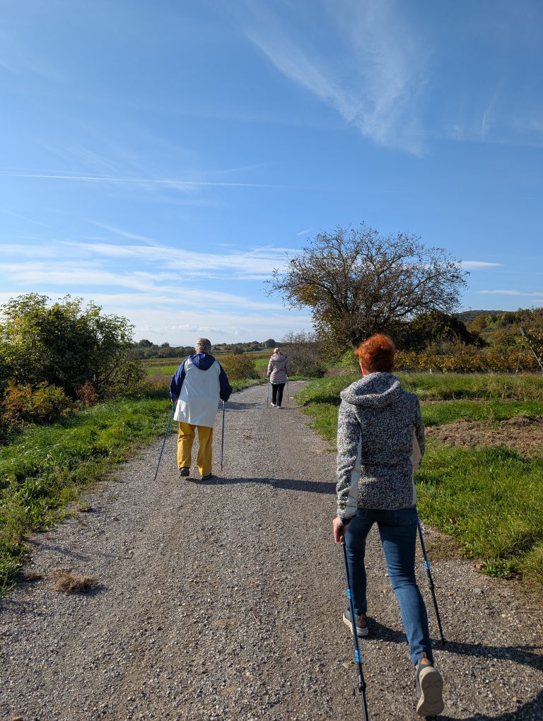 Walking Gruppe - 3 Frauen von hinten
