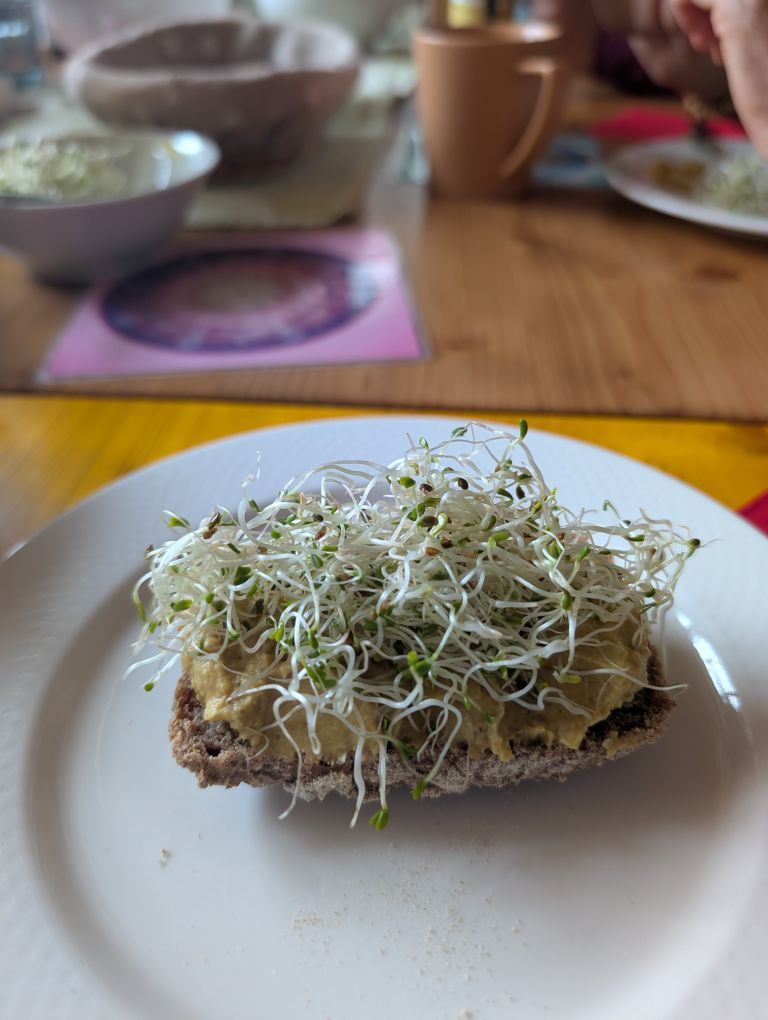 Eine Scheibe Brot mit Aufstrich und vielen Sprossen drauf.