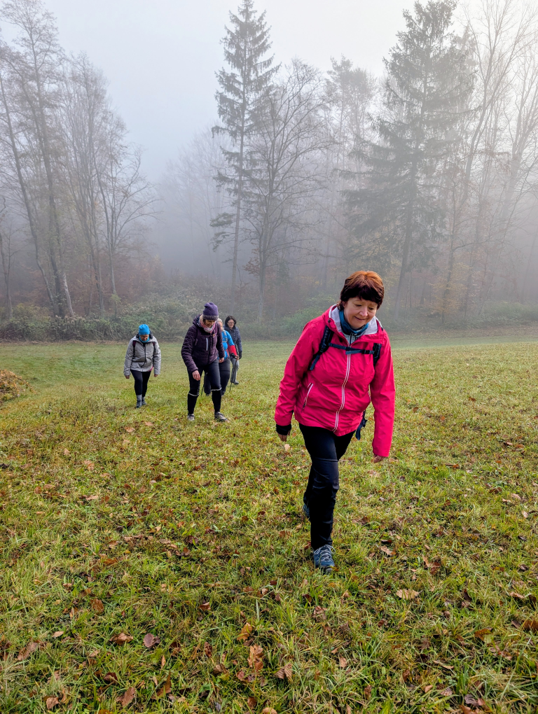 Wandergruppe geht bergauf