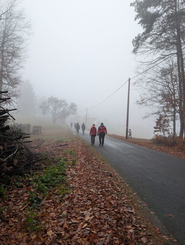 Gruppe von hinten auf nebeliger Straße marschierend