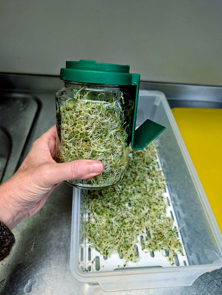 Prall gefülltes Sprossenglas