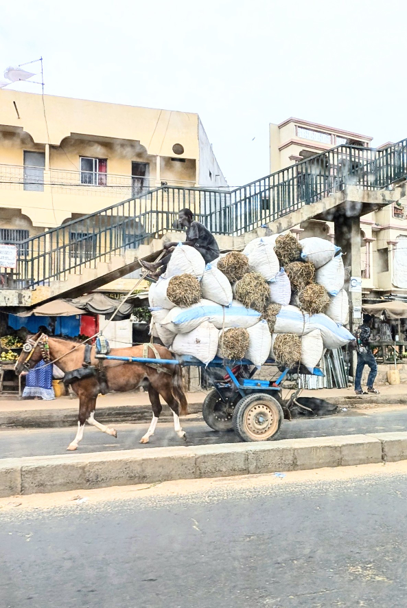 Pferdewagen mit sehr hoch geladenen Strohballen