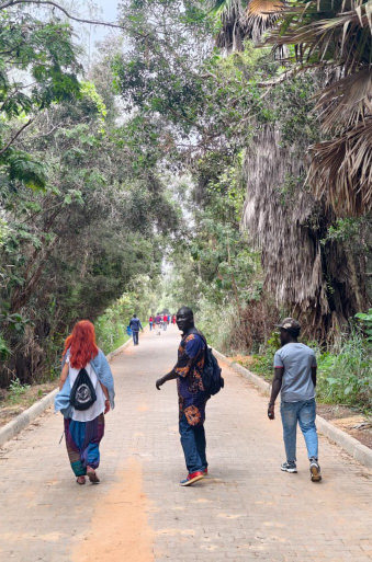 Karin, Oumar, und der Fahrer von hinten, gehend auf einem Weg zwischen riesigen Urwaldpflanzen