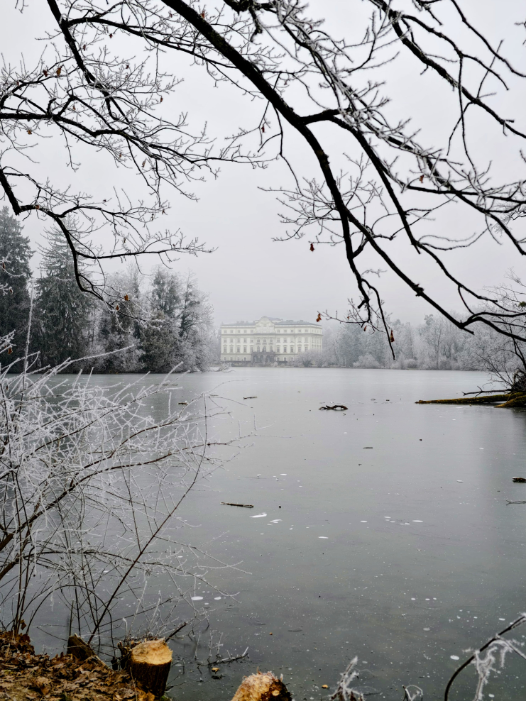 Der Teich im Vordergrund - am anderen Ufer ein Schloss