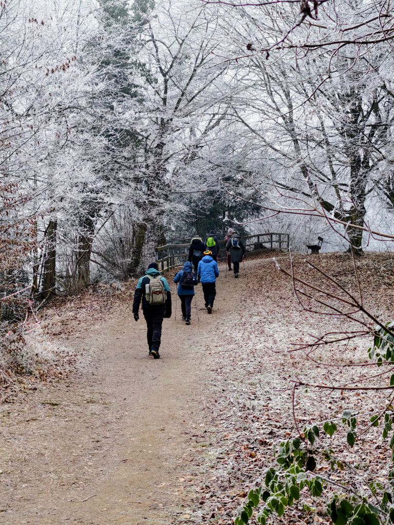 Gruppe von hinten marschierend durch den angezuckerten Wald