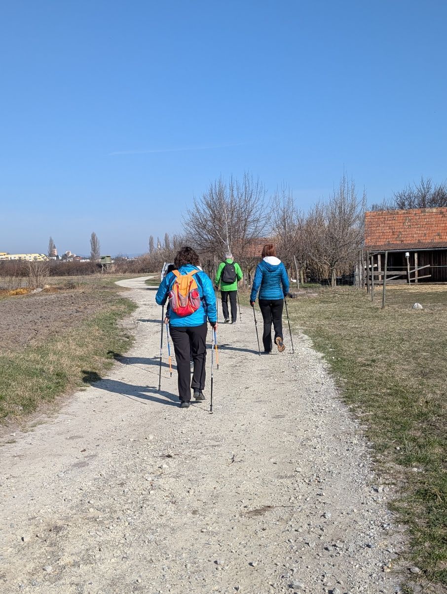 Nordic Walking Gruppe von hinten