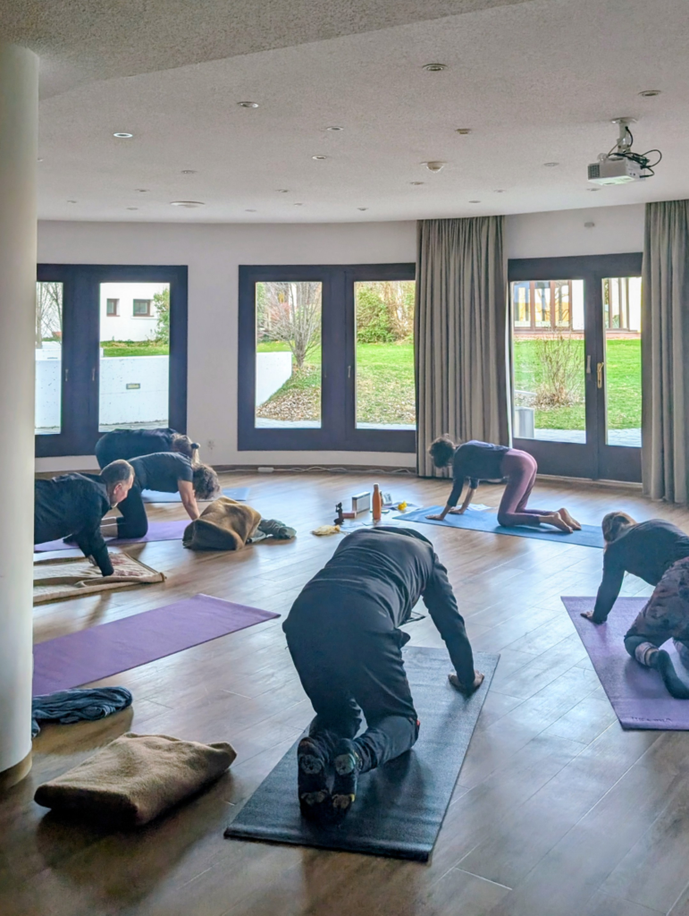 Fastengruppe im Vierfüßlerstand