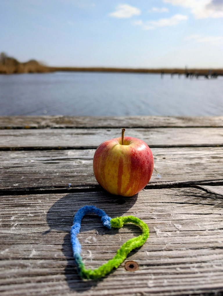 Roter Apfel auf dem Steg am See