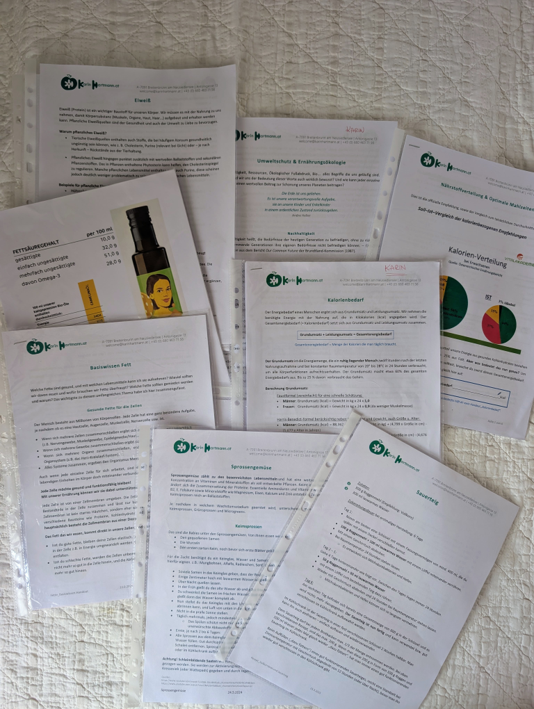 Meine Sammlung der vielen Handouts.