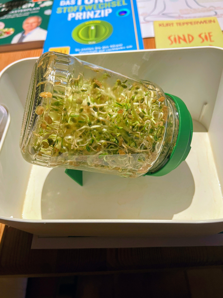 Sprossenglass, prallgefüllt mit grünen Sprossen