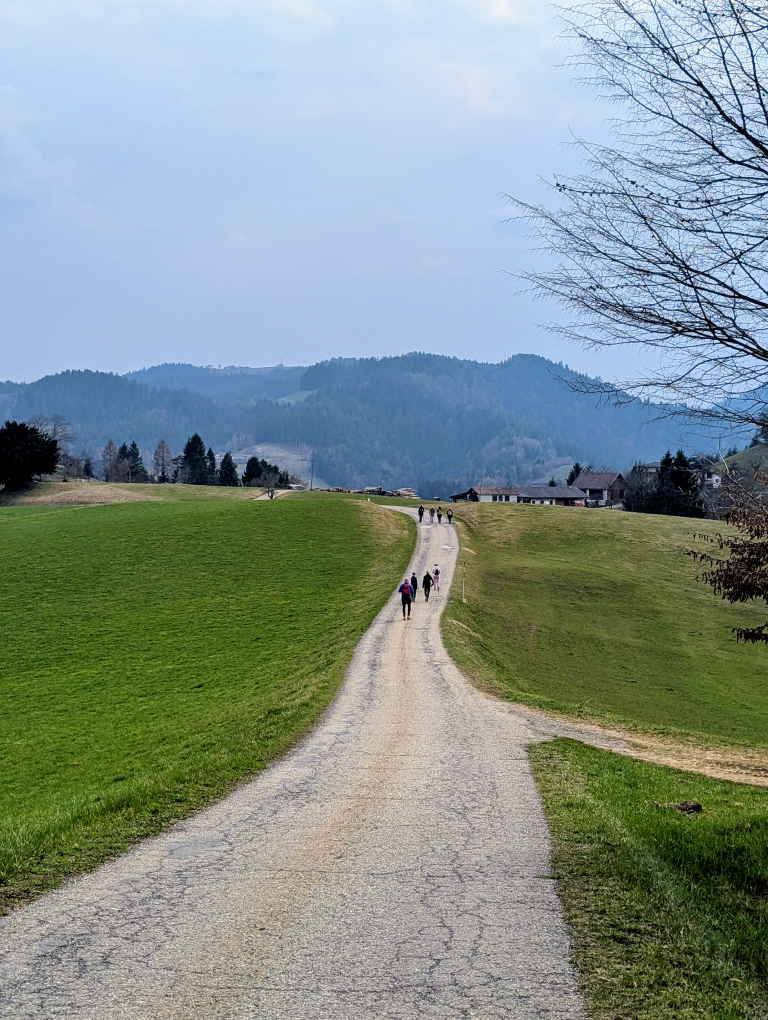 Lange Straße zwischen grünen Wiesen.