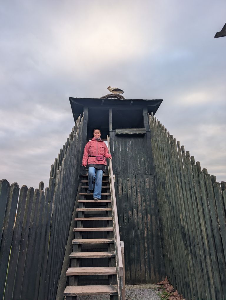 Frau kommt von Hochstand runter. Auf dem Hochstand ist ein Storchennest, darin sitzt ein Storch.