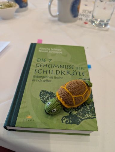 Buch "Die 7 Geheimnisse der Schildkröte"