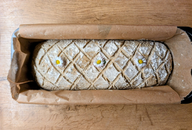 Brot in Kastenform