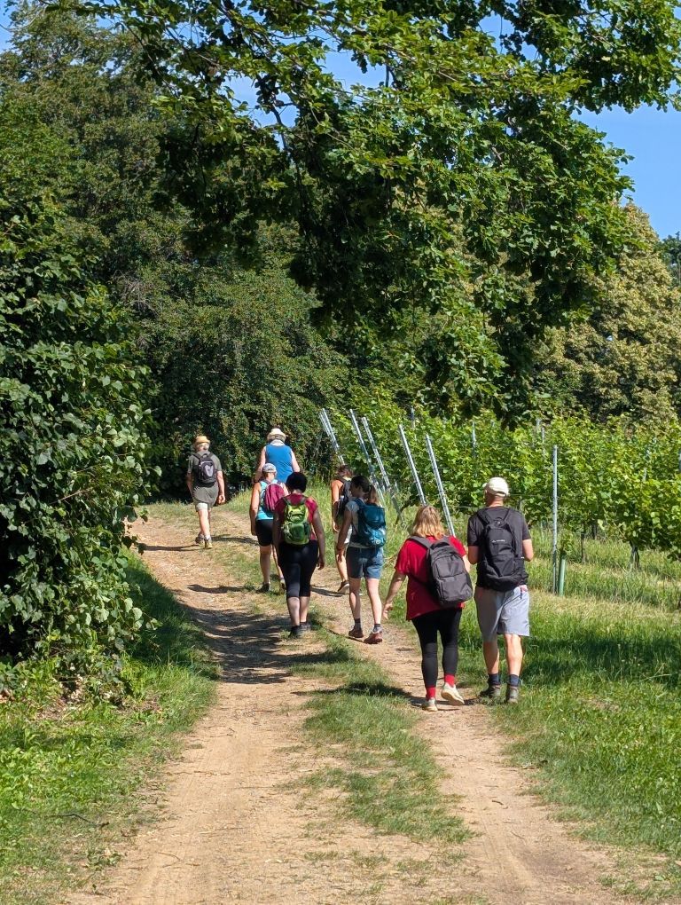 Fastengruppe von hinten am Feldweg marschierend