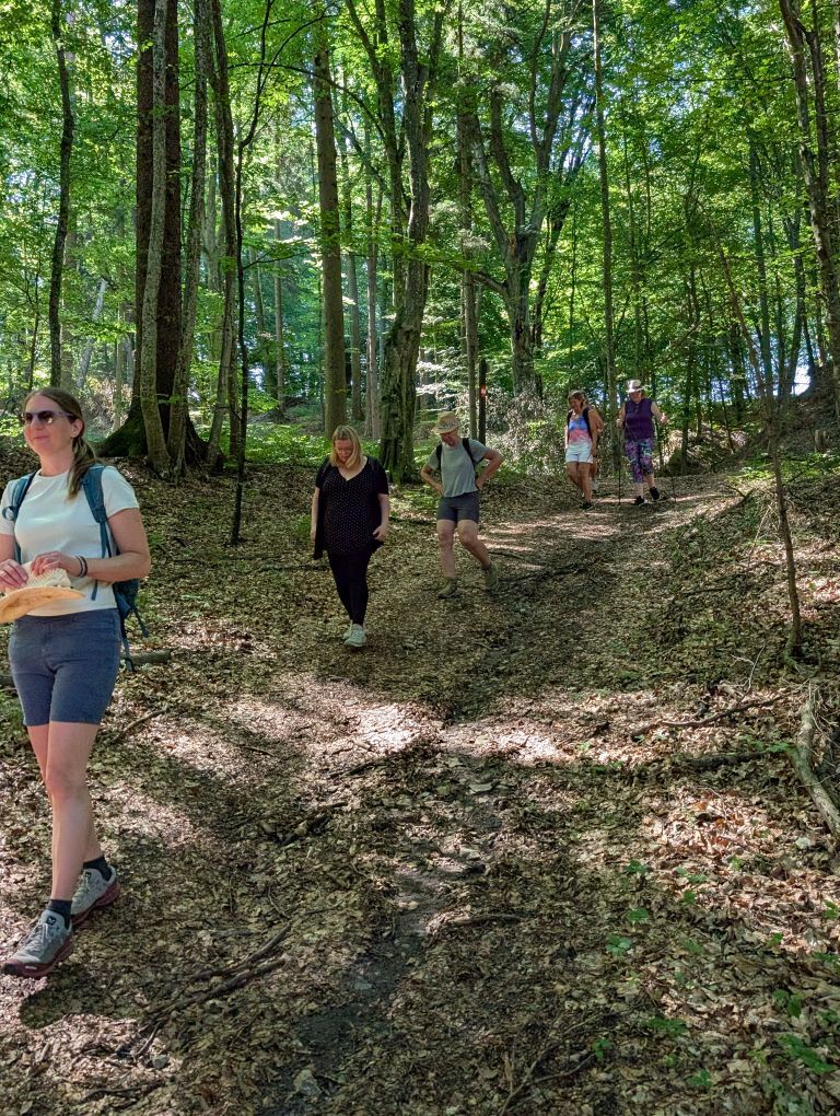 Menschen am Waldweg