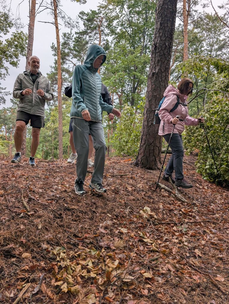 Drei schlanke Menschen gehen im Wald einen Hang hinab