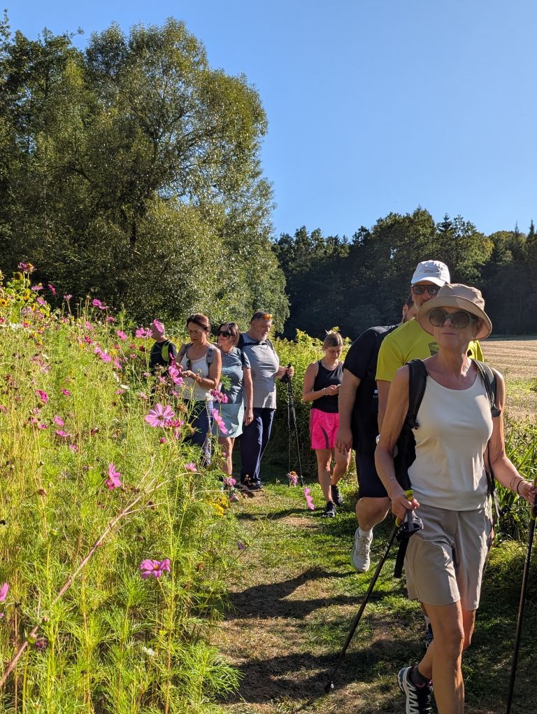 Fastenteilnehmerinnen im Gänsemarsch neben einen Feld mit sehr hohen, bunten Blumen