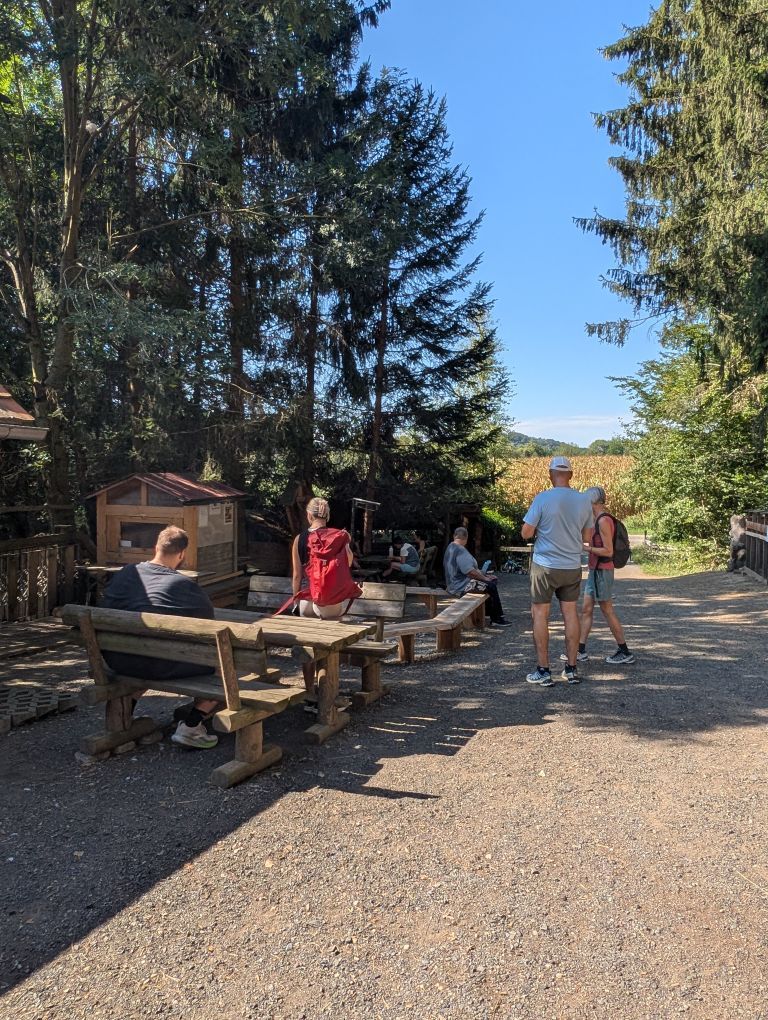 Menschen rasten im Schatten auf Bänken