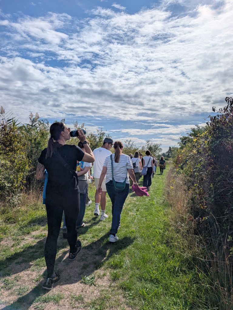 Gruppe auf einem Wiesenweg gehend von hinten