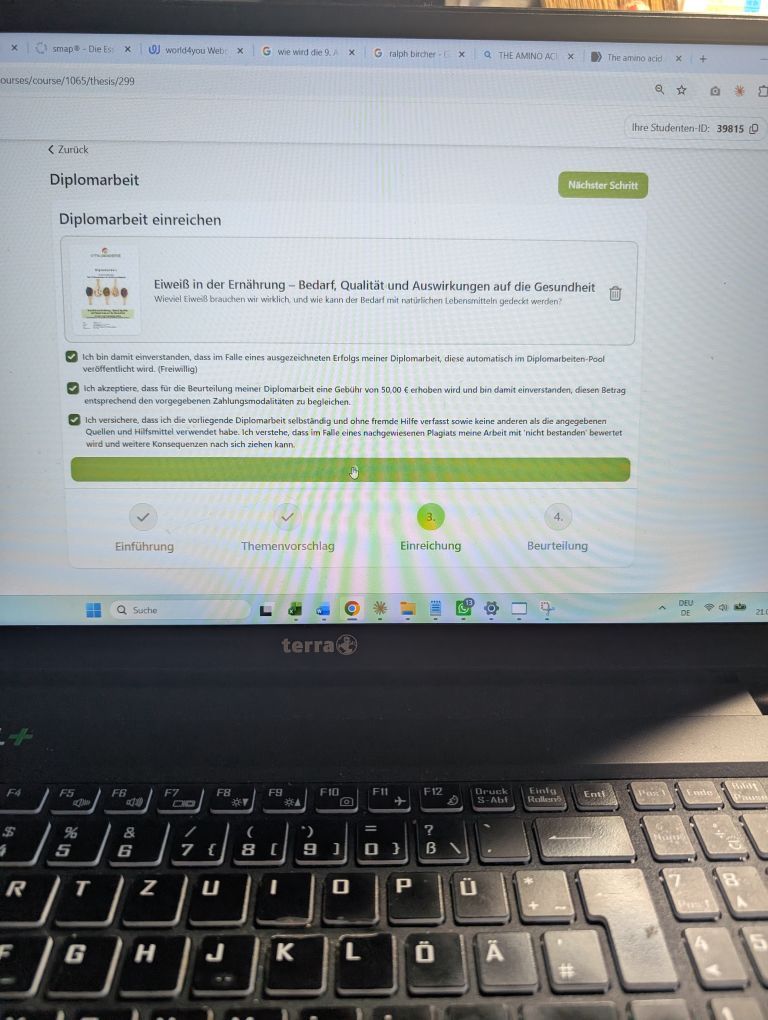 Bildschirm - Diplomarbeit einreichen