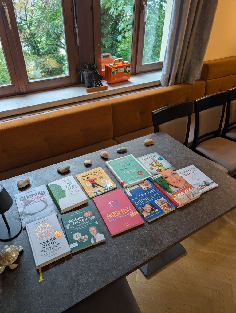 Foto meiner mitgebrachten Bücher