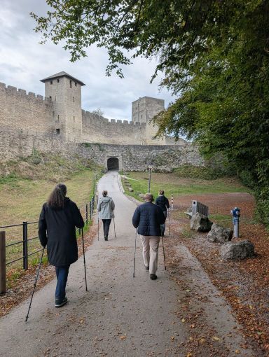 4 Nordic Walkerinnen von hinten