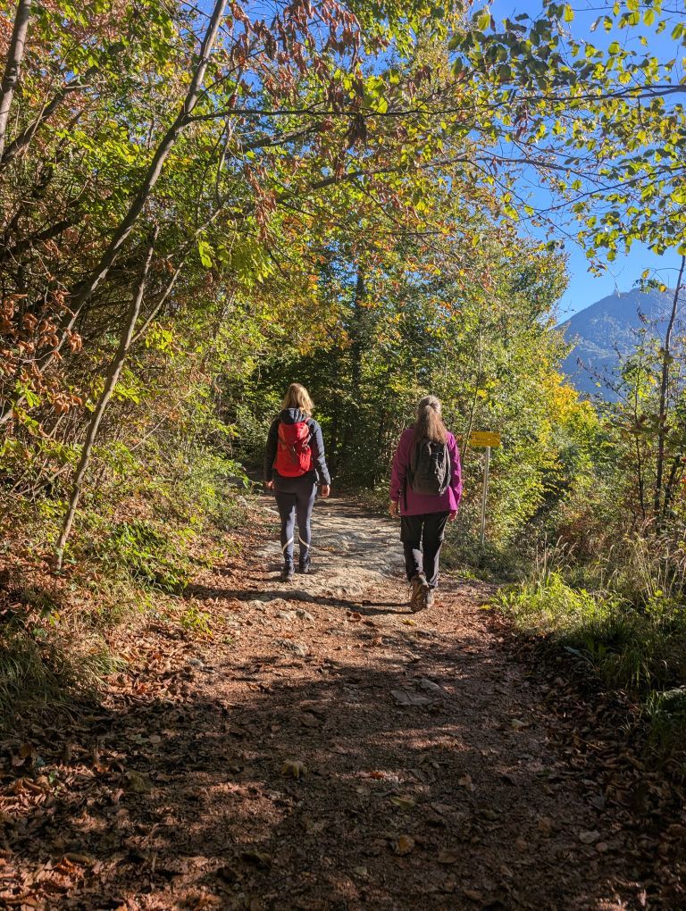 Katrin und Christina von hinten den bewaldeten Weg bergauf