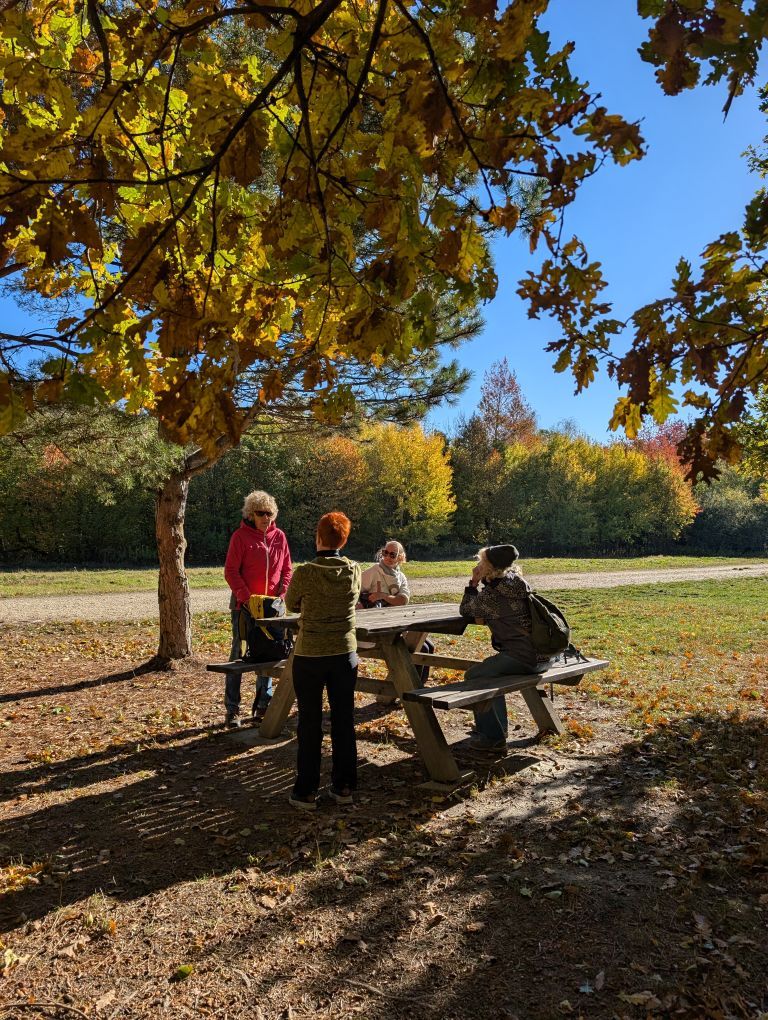 4 Frauen auf einem Rastplatz auf einer Lichtung