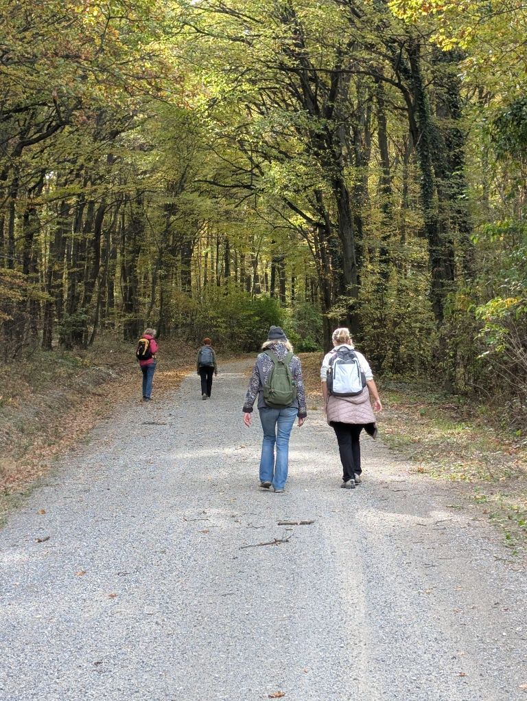 4 Wanderfrauen von hinten