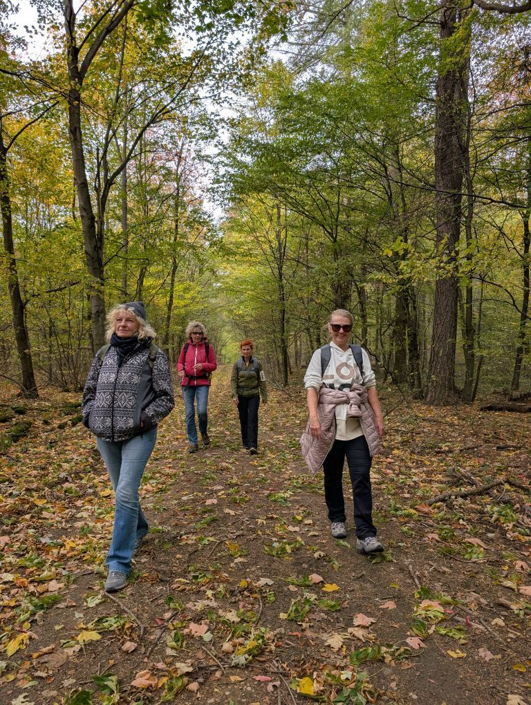 Die 4 Wandersfrauen von vorne durch den bunten Wald.