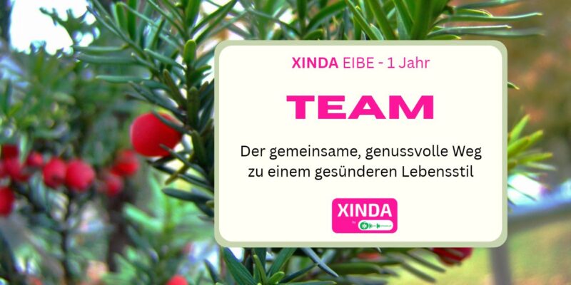 XINDA Vortrag