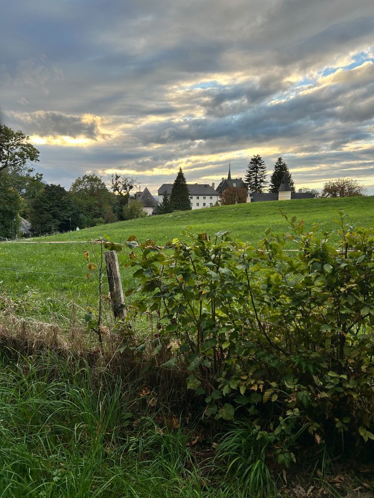 Das Anwesen der Pallottiner in der Ferne.